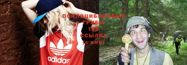 соль ск Алексеевка