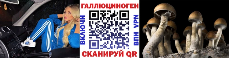 нарко площадка клад  Старая Русса  Псилоцибиновые грибы GOLDEN TEACHER  как найти наркотики 