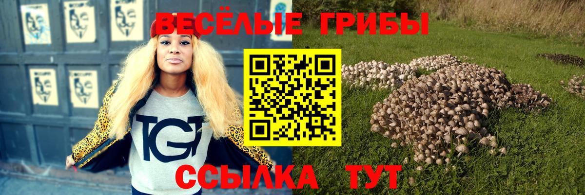 Псилоцибиновые грибы прущие грибы  Галлюциногенные грибы Magic Shrooms  Старая Русса  Вход с VPN 