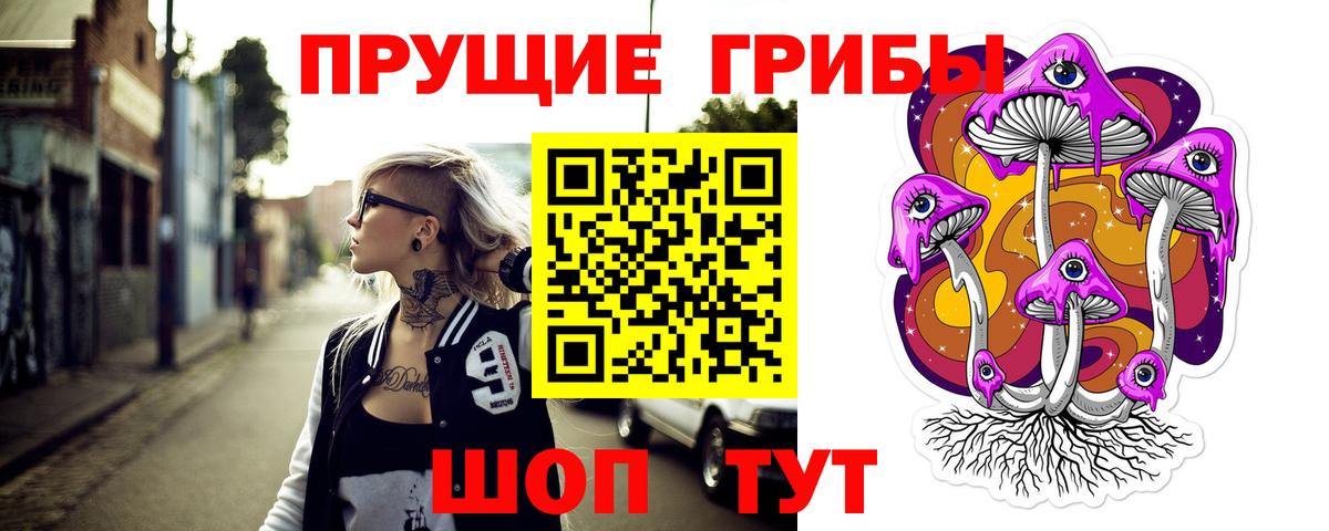 Галлюциногенные грибы Psilocybe Старая Русса